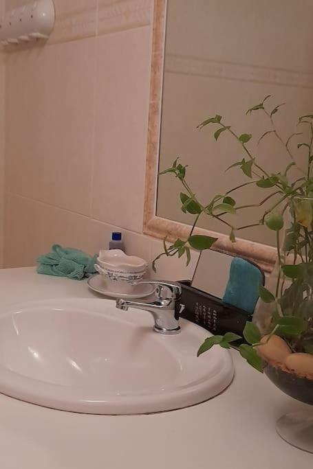 Le Chausse A Bres Chambre D'Hotes 2 Payzac  Екстер'єр фото